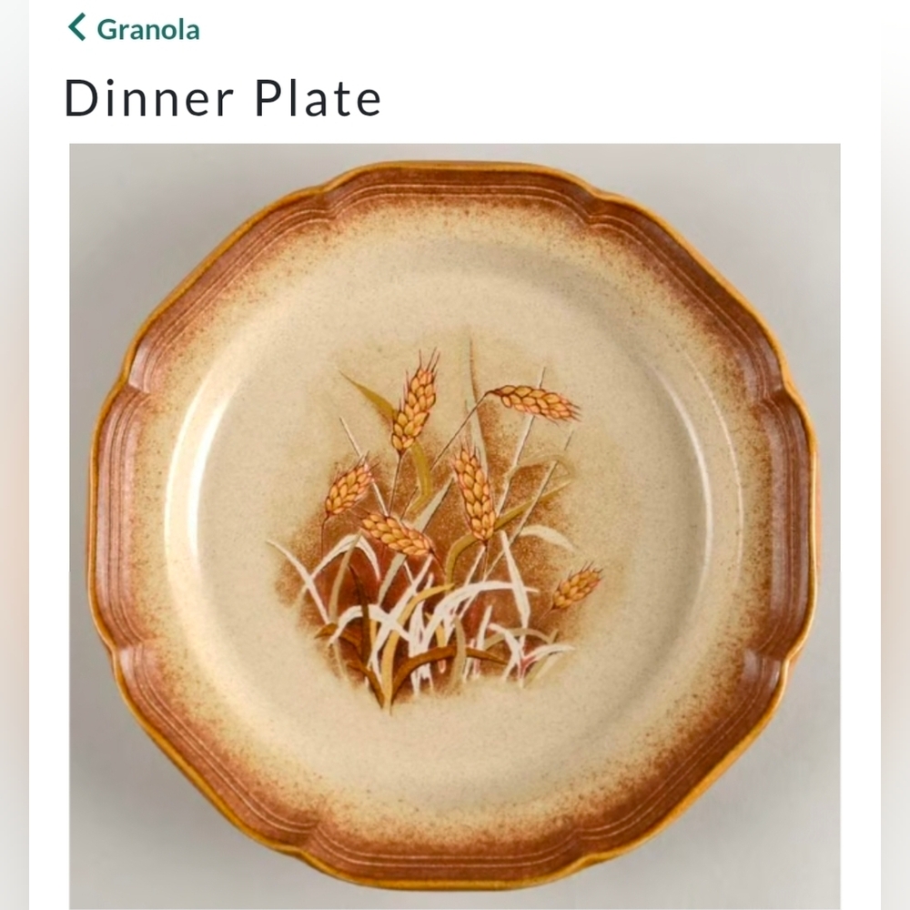 [MIKASA] (1) Dinner Plate: Mikasa Whole Wheat E8001